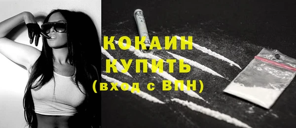 гашик Новозыбков