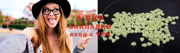 гашик Новозыбков