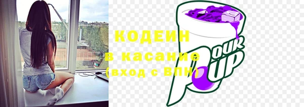 гашик Новозыбков