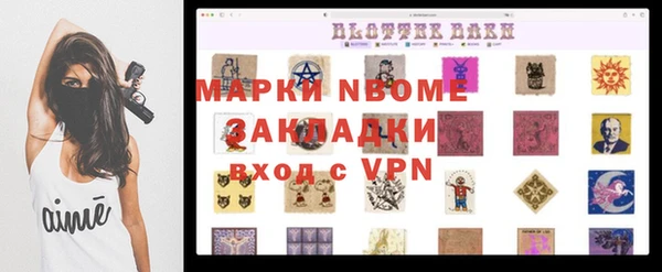 бошки Новодвинск