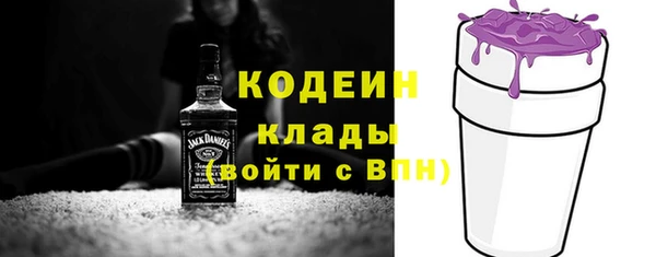 гашик Новозыбков