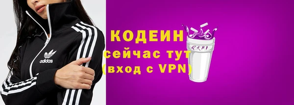 гашик Новозыбков