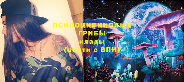гашик Новозыбков
