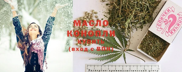 гашик Новозыбков