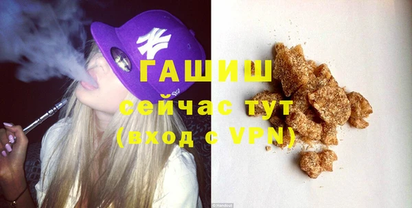 гашик Новозыбков