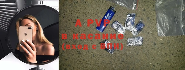 гашик Новозыбков