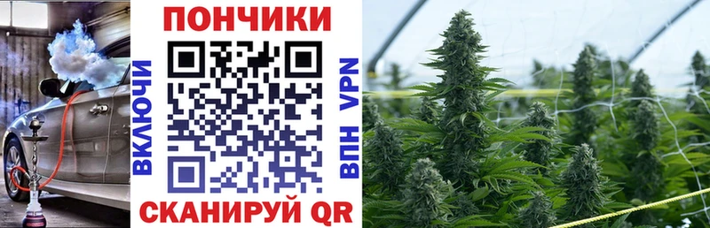 Каннабис марихуана Саки